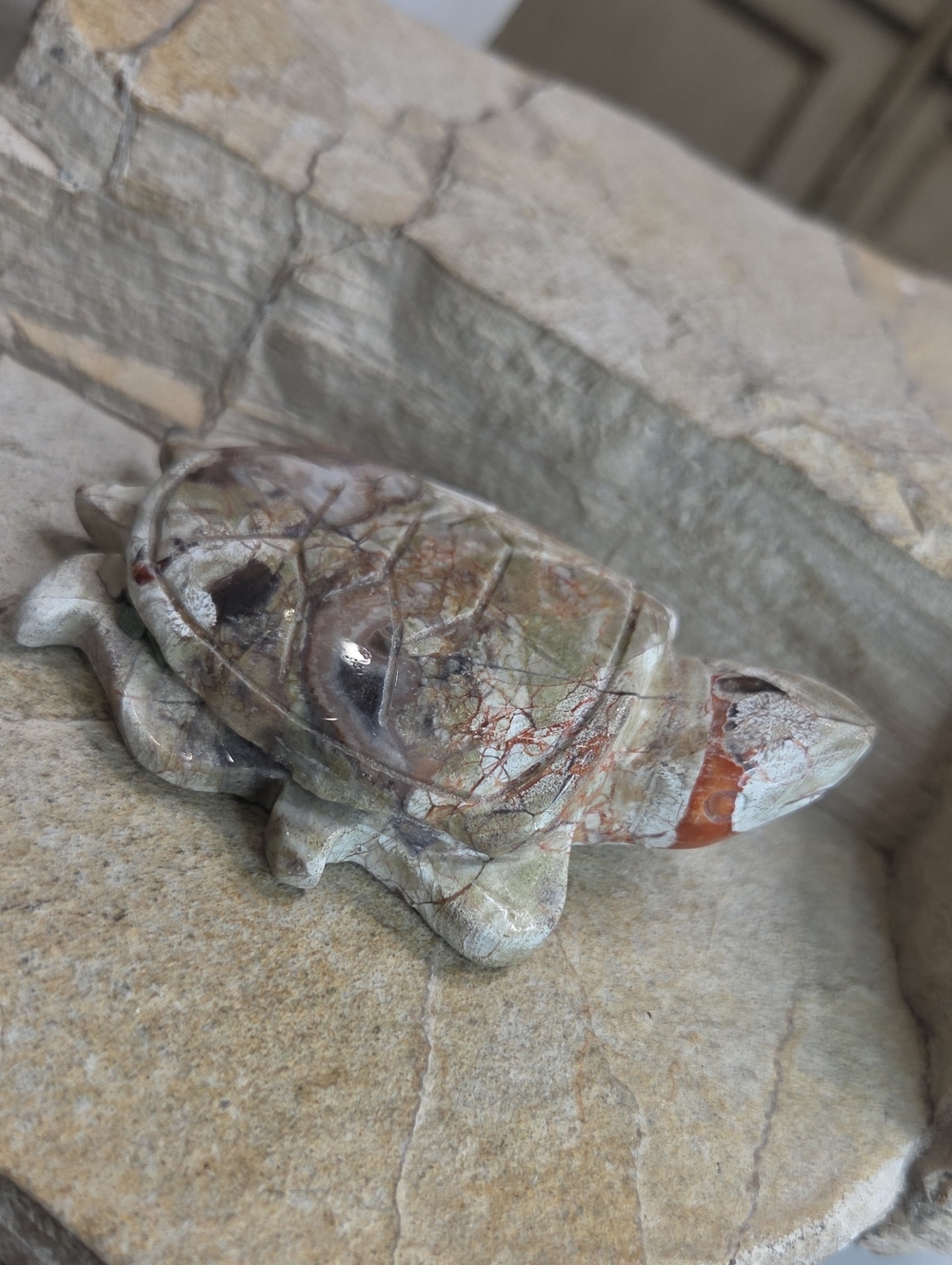 Carved Jasper Stone Turtle Figurine in Green-Brown Tones Druzy